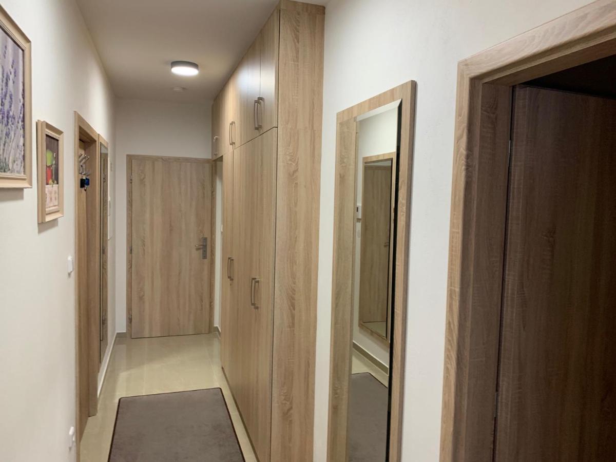 Apartment Rezidence - Javor & Wellness Zelezna Ruda Bagian luar foto