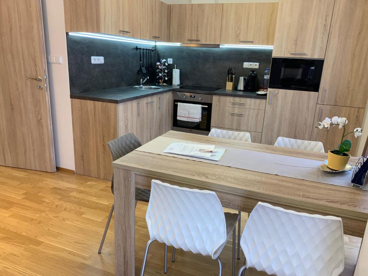 Apartment Rezidence - Javor & Wellness Zelezna Ruda Bagian luar foto