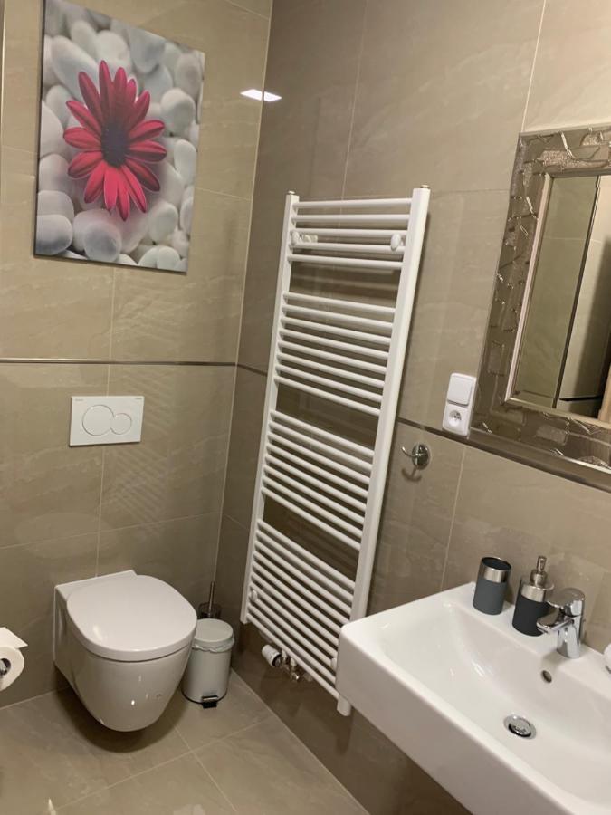 Apartment Rezidence - Javor & Wellness Zelezna Ruda Bagian luar foto