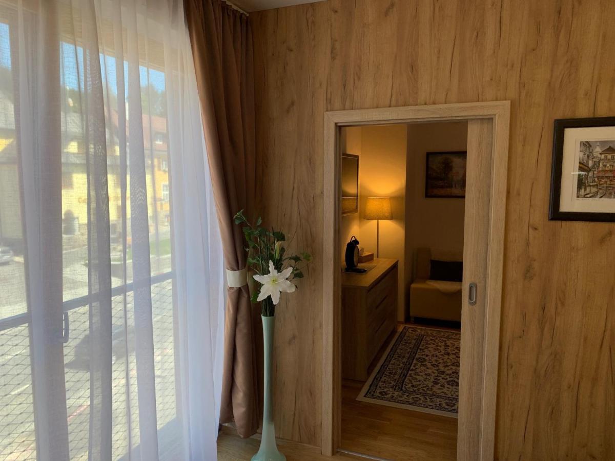 Apartment Rezidence - Javor & Wellness Zelezna Ruda Bagian luar foto