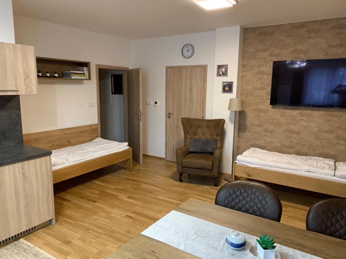 Apartment Rezidence - Javor & Wellness Zelezna Ruda Bagian luar foto