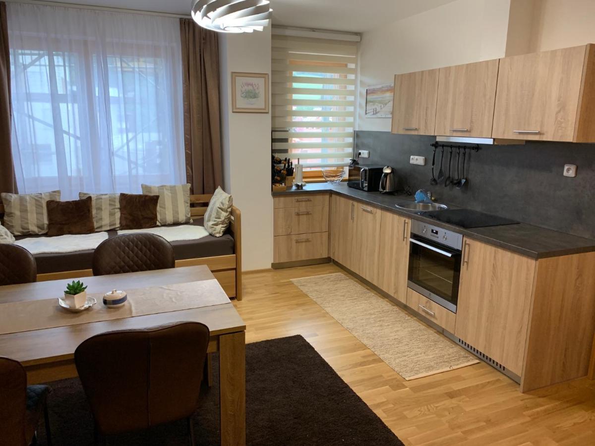 Apartment Rezidence - Javor & Wellness Zelezna Ruda Bagian luar foto