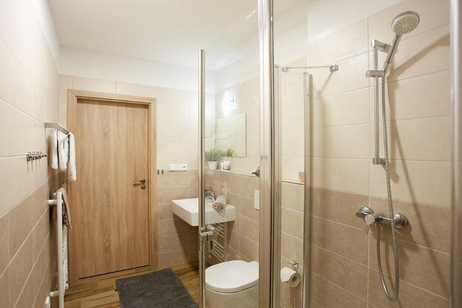 Apartment Rezidence - Javor & Wellness Zelezna Ruda Bagian luar foto